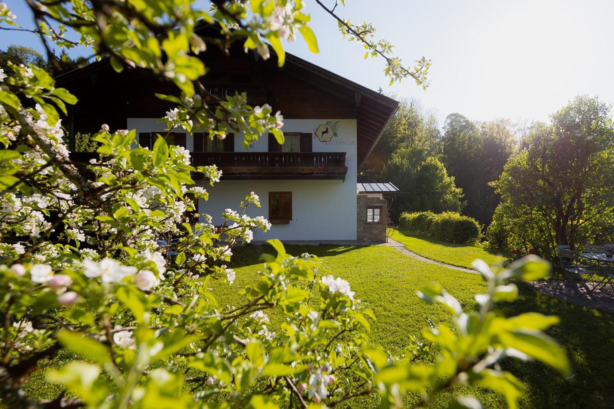 Ferienwohnung Mankei Schoenau am Koenigsee Ngoại thất bức ảnh